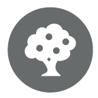 landscape symbol