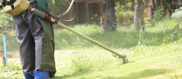 C&W Services Corporate Lawncare and Landscaping