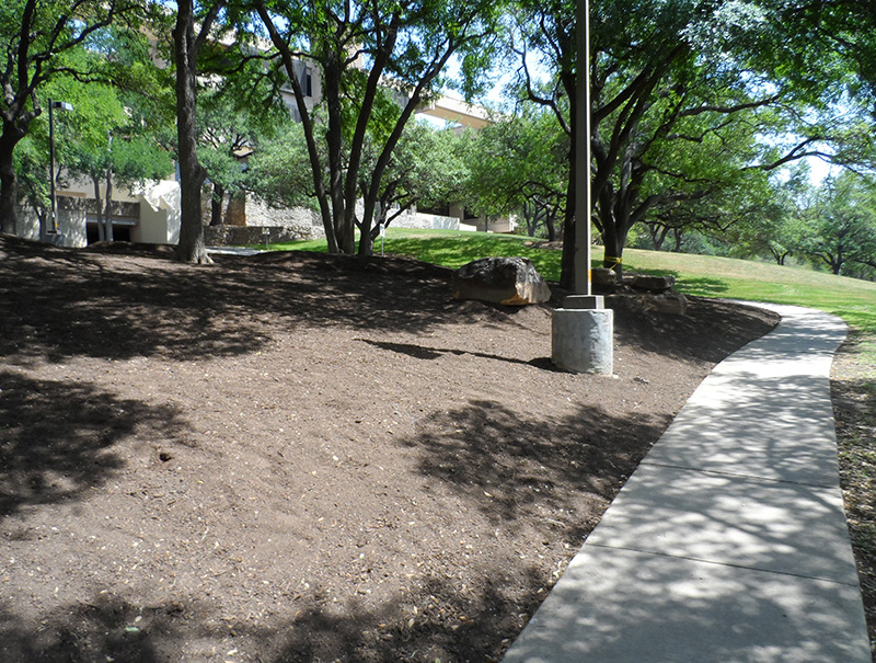 Before shot of San Antonio Landscaping