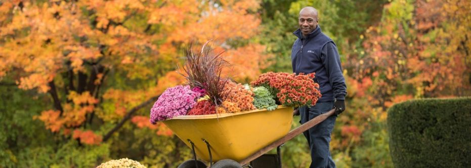 A C&W Services employee helps plant landscape the Rider campus.