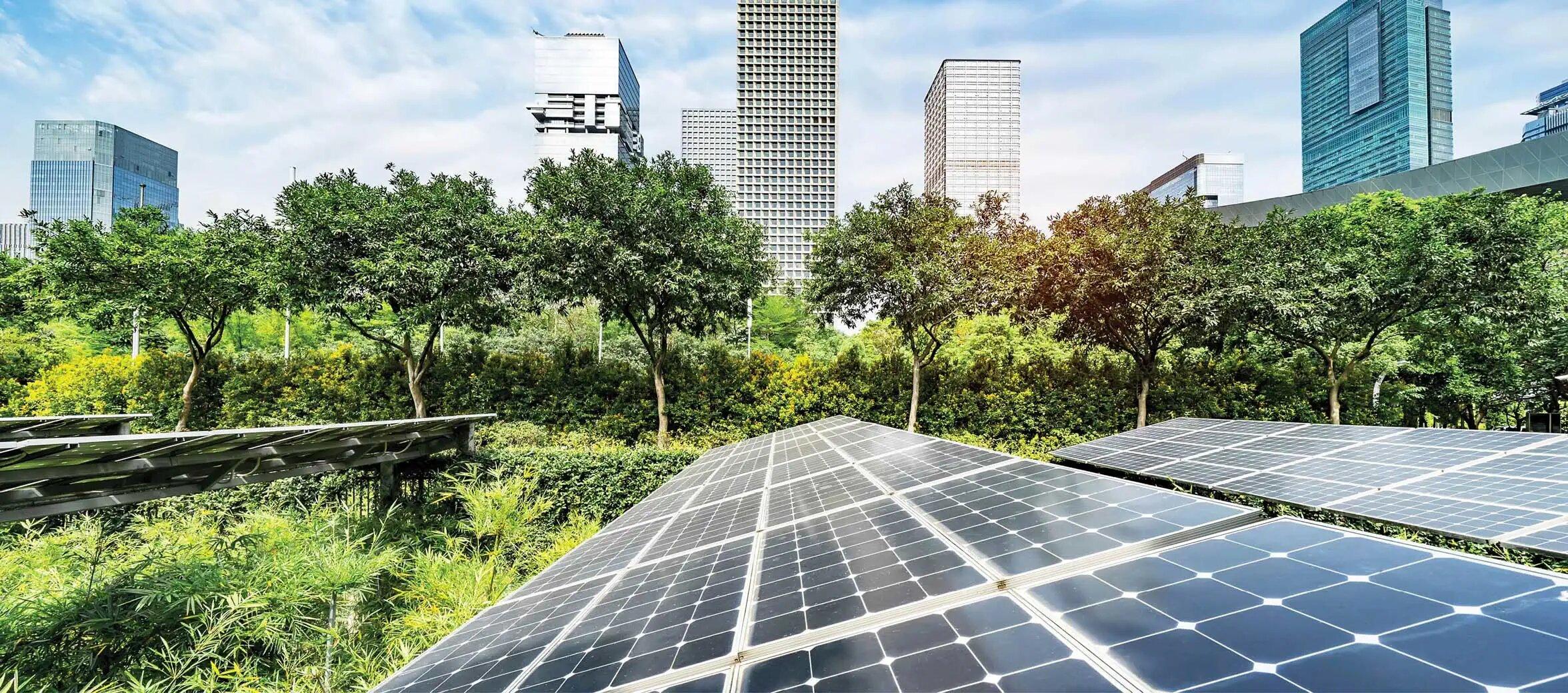 Solar panels on a green field in a city.